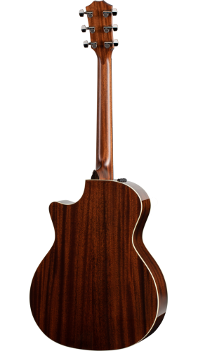 TAYLOR 314ce 300 Series фото 2